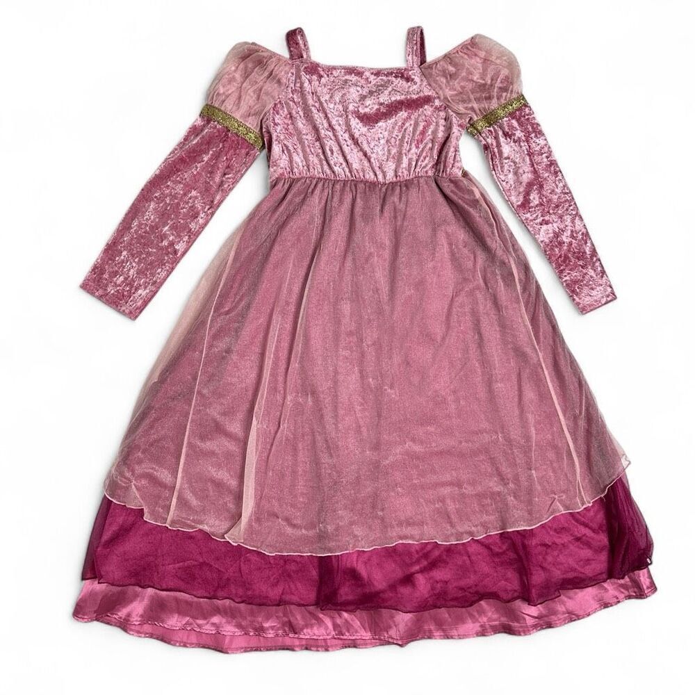 Disney Enchanted Rapunzel Princess Dress Costume Girls L 10/12 Crush Velvet Rare - Picture 2 of 12